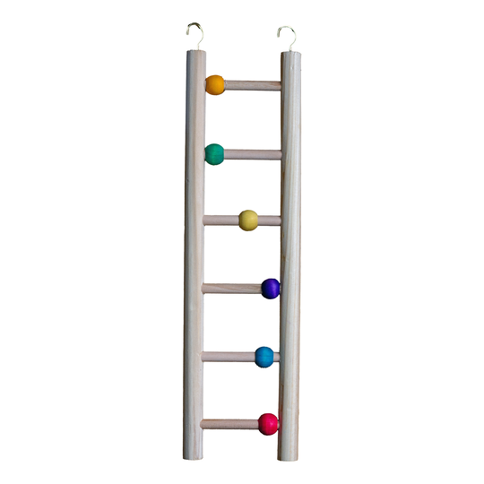 A wooden ladder toy for birds, featuring a natural light wood finish with colorful round beads in orange, green, yellow, purple, blue, and pink, and two metal hanging loops at the top, shown against a plain white background.