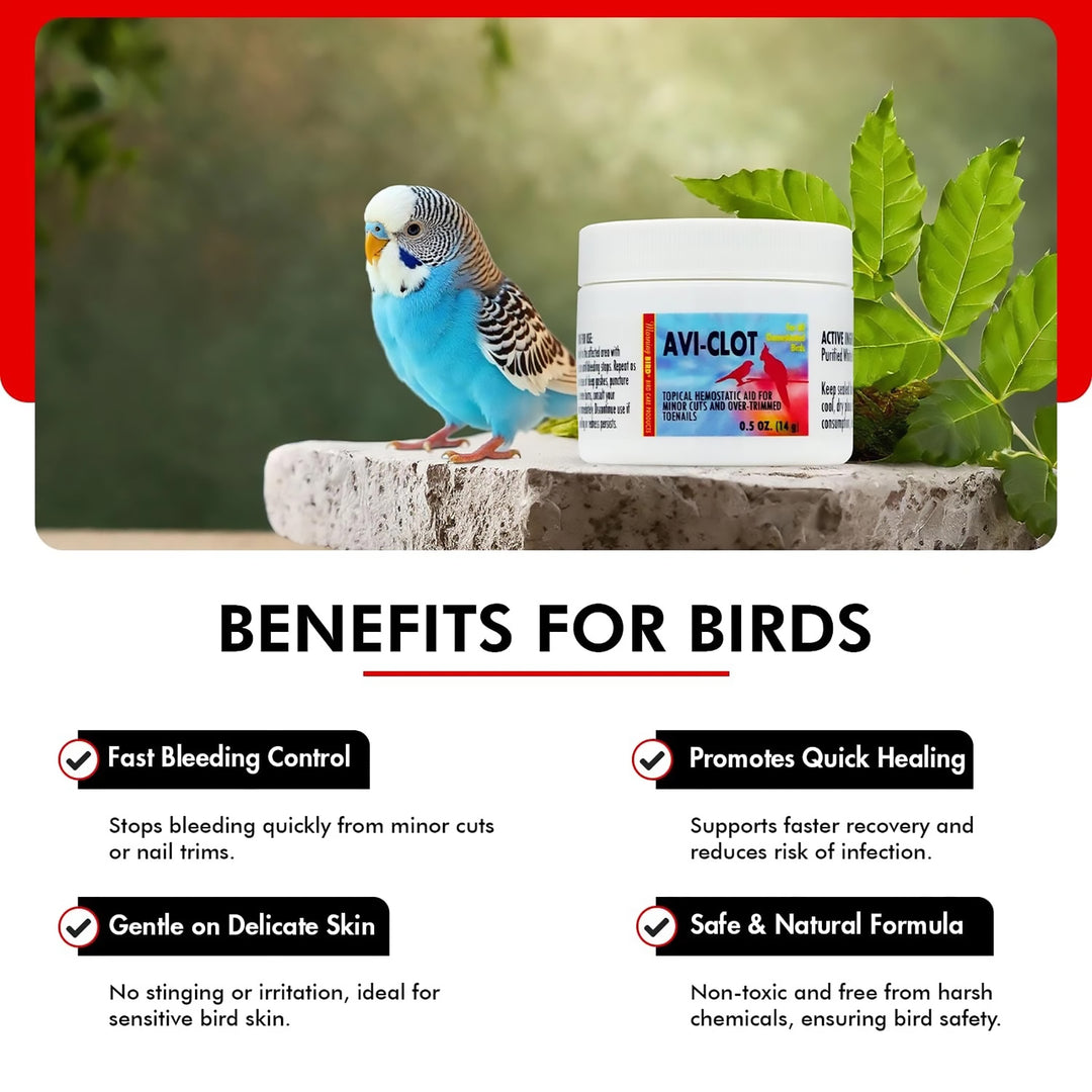 Morning Bird Products AVI-CLOT - Topical Hemostatic Aid Powder - 0.5oz