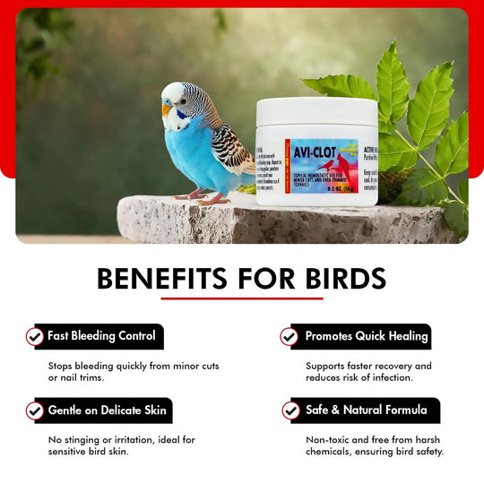 Morning Bird Products AVI-CLOT - Topical Hemostatic Aid Powder - 0.5oz