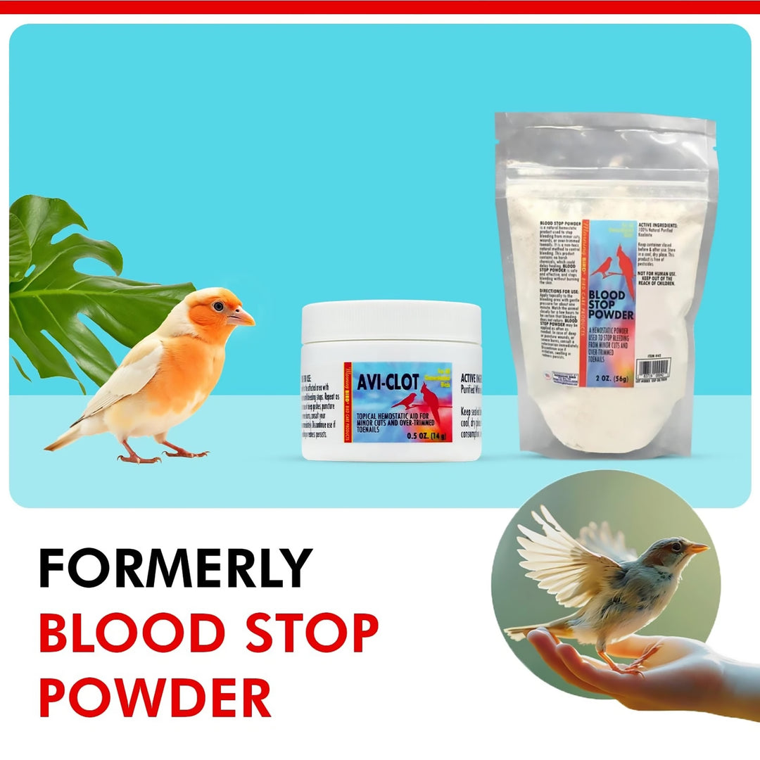 Morning Bird Products AVI-CLOT - Topical Hemostatic Aid Powder - 0.5oz