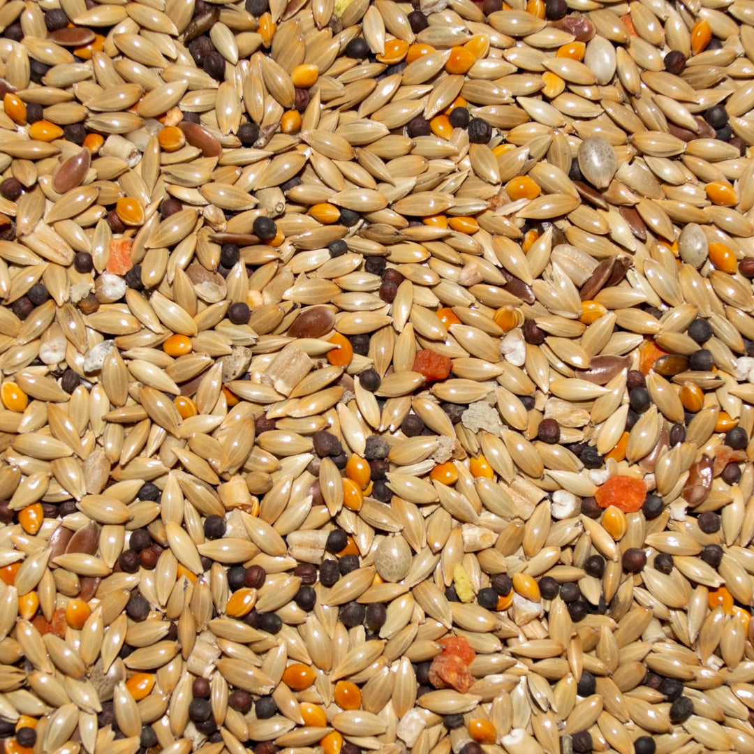 Volkman Avian Science Super Canary - 4lb