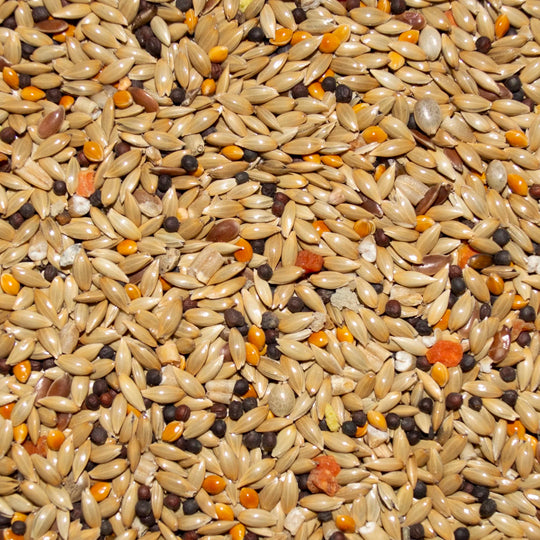Volkman Avian Science Super Canary - 4lb