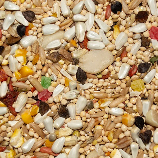 Volkman Avian Science Super Cockatiel No Sunflower Seeds - 4lb