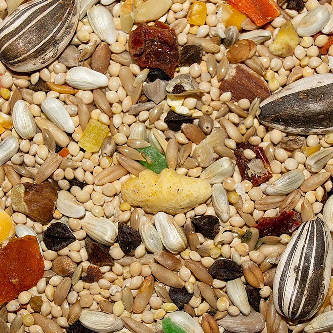 Volkman Avian Science Super Cockatiel With Sunflower Seeds - 4lb