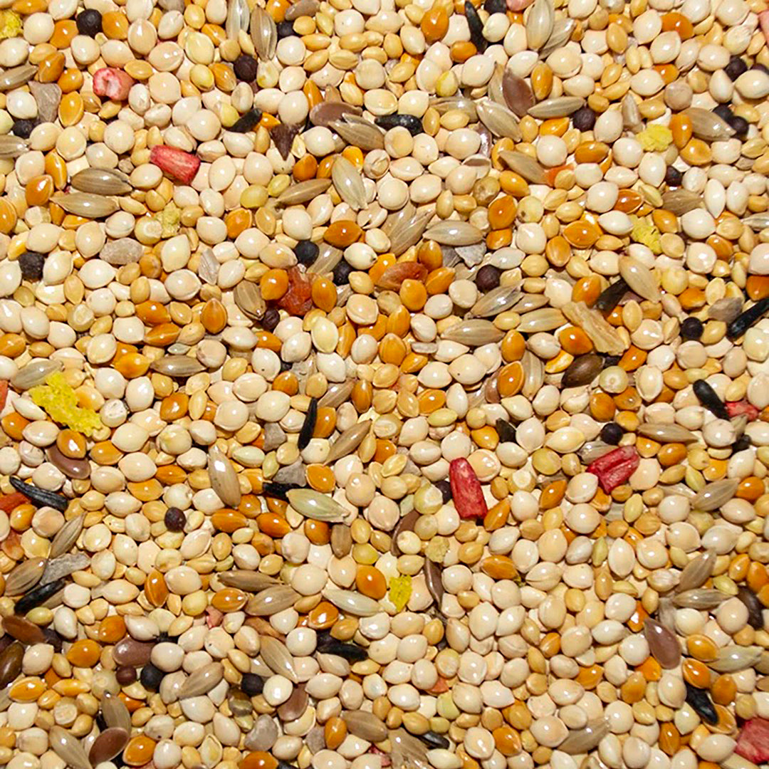 Volkman Avian Science Super Finch - 4lb