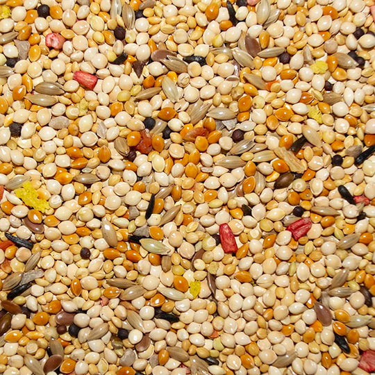 Volkman Avian Science Super Finch - 4lb