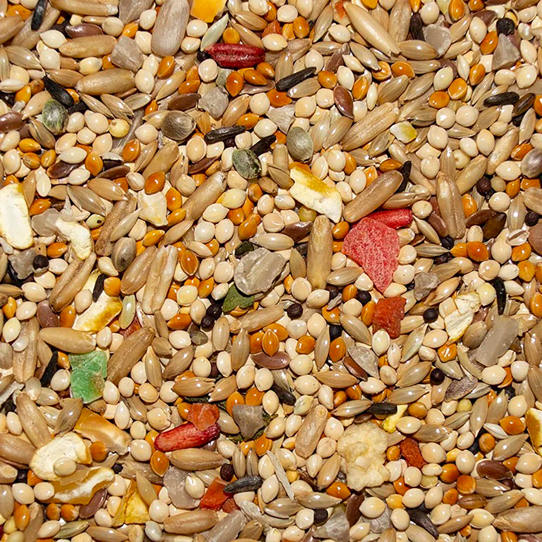 Volkman Avian Science Super Parakeet - 4lb