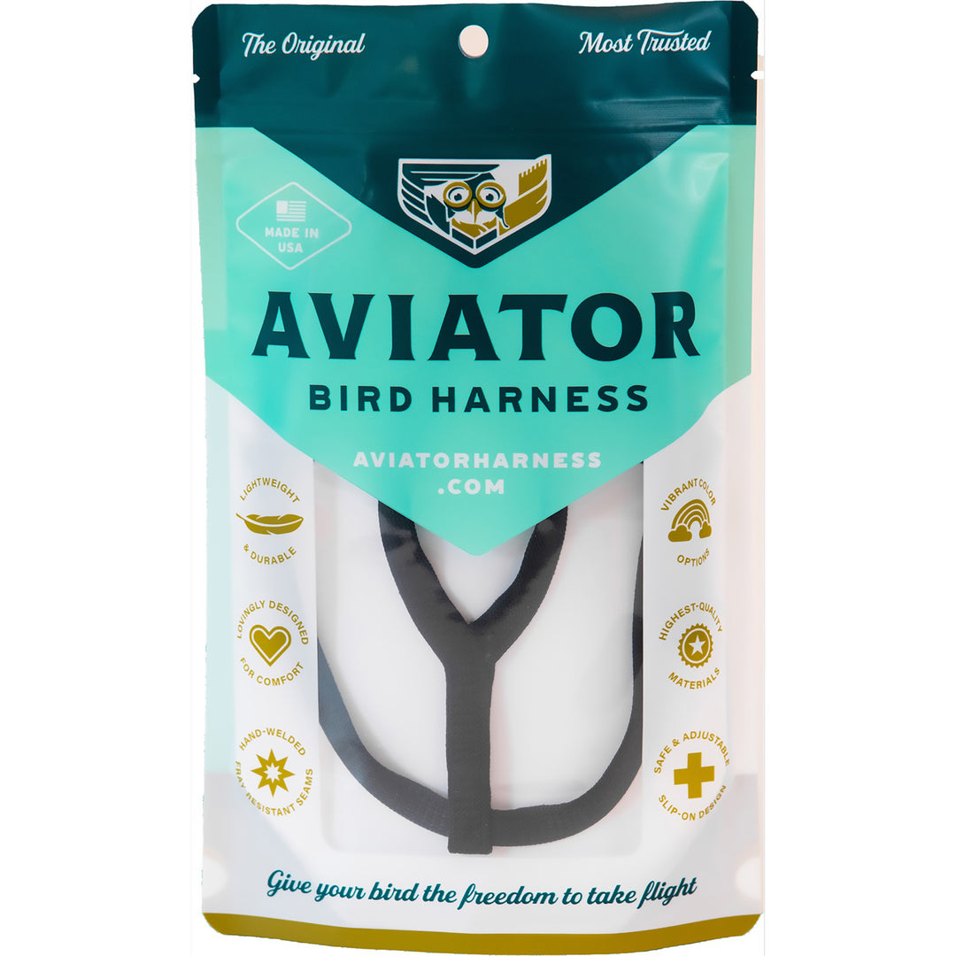 The Aviator Bird Harness And Leash - Black - Large