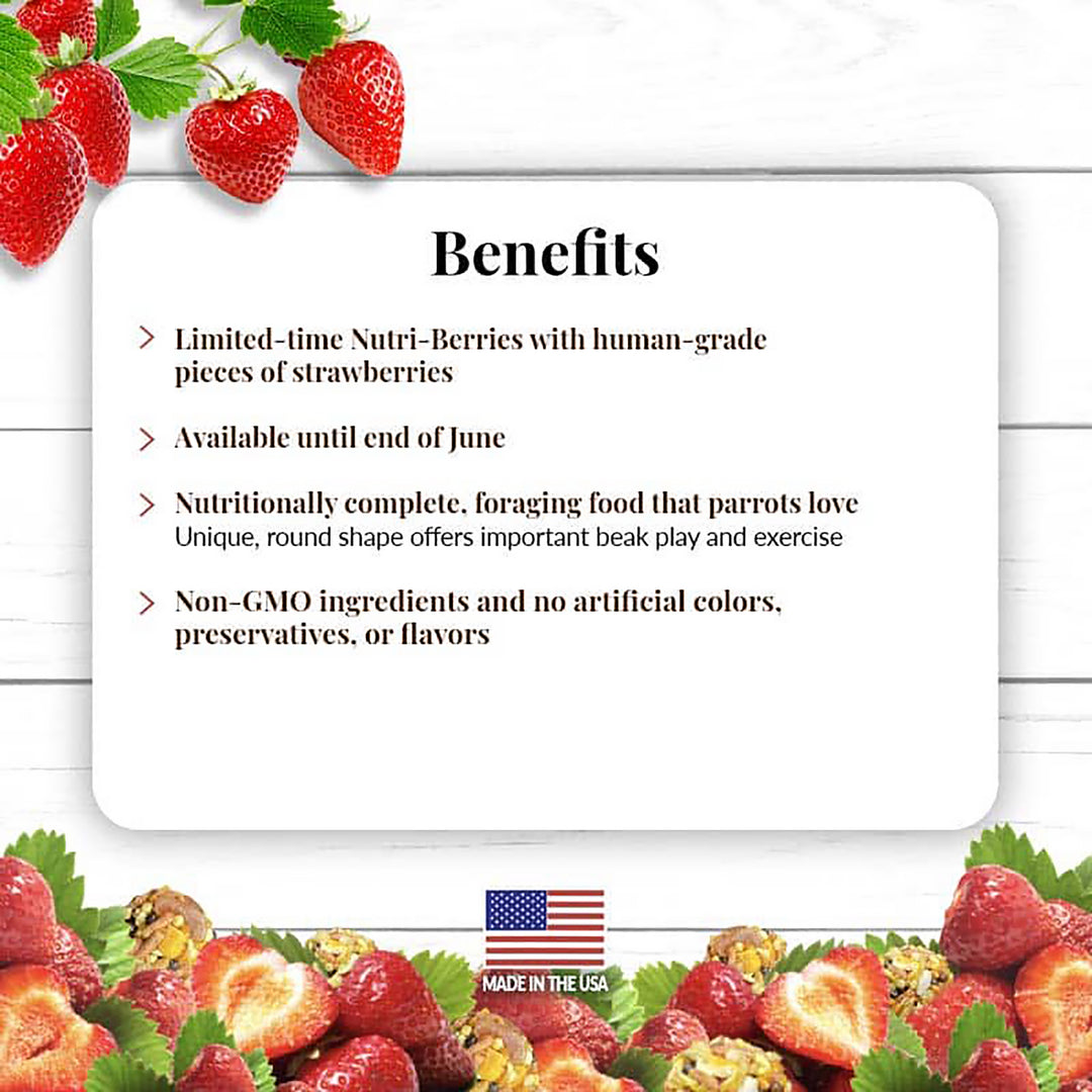 Lafeber's Strawberry Nutri-Berries for Parrots - 10oz