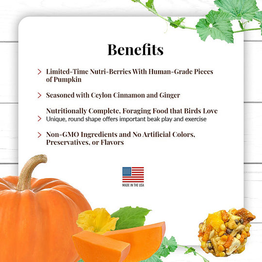 Lafeber's Pumpkin Spice Nutri-Berries for Parrots - 10oz