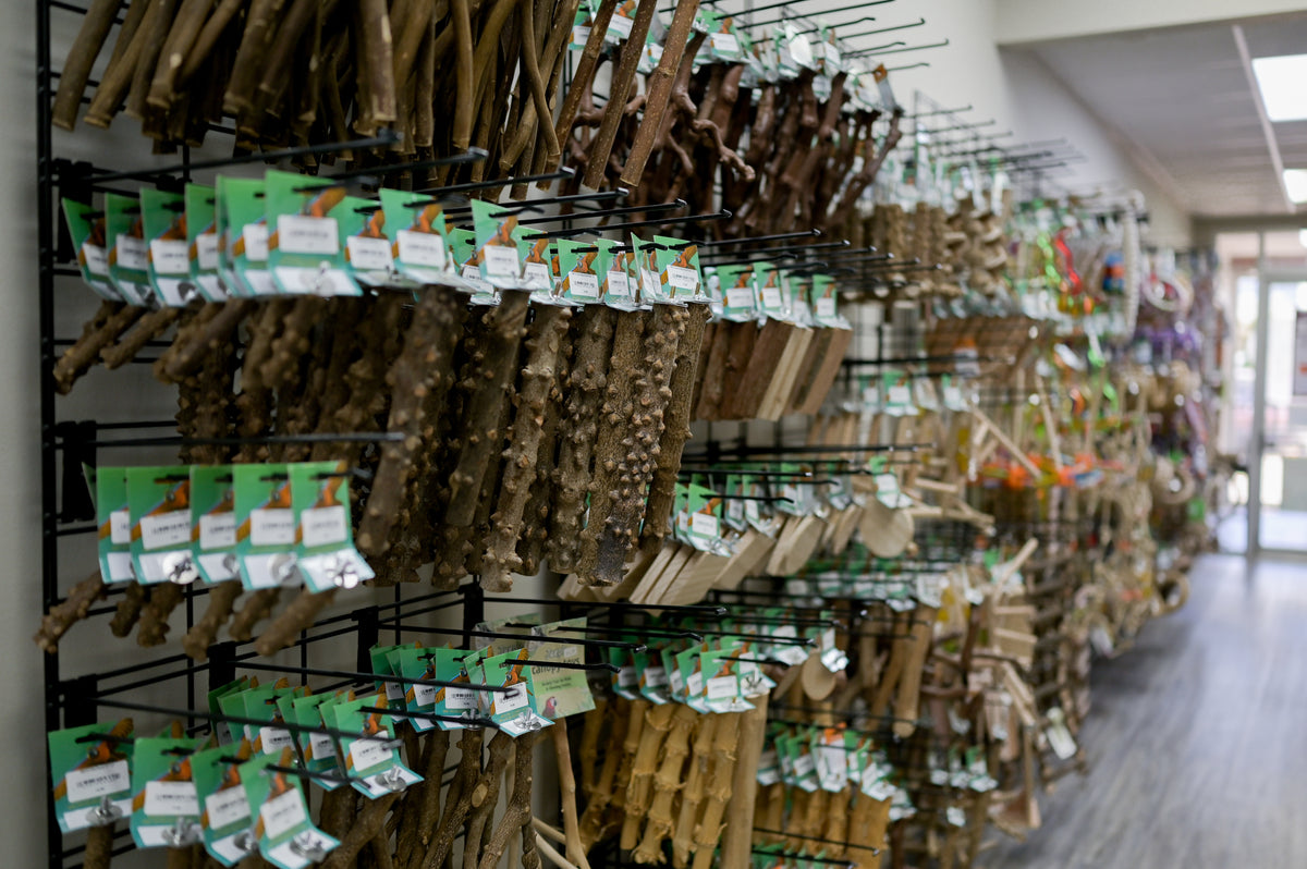 Bird Supplies – Parrot Stars