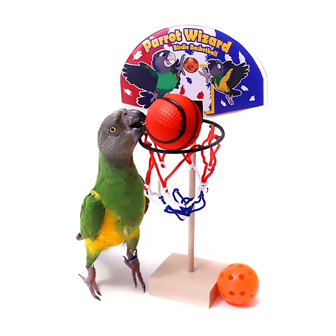 Birdie Basketball by Parrot Wizard - Trick-Training Bird Toy