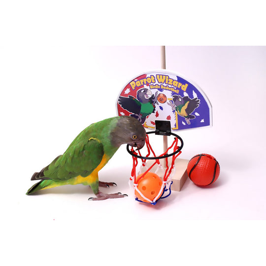 Birdie Basketball by Parrot Wizard - Trick-Training Bird Toy