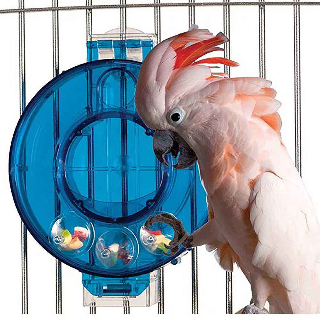 Caitec Mastermind Circle - Puzzle Treat Dispenser Bird Toy
