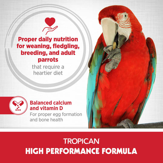 Hagen HARI Tropican High Performance Formula for Parrots Sticks - 3.3lb
