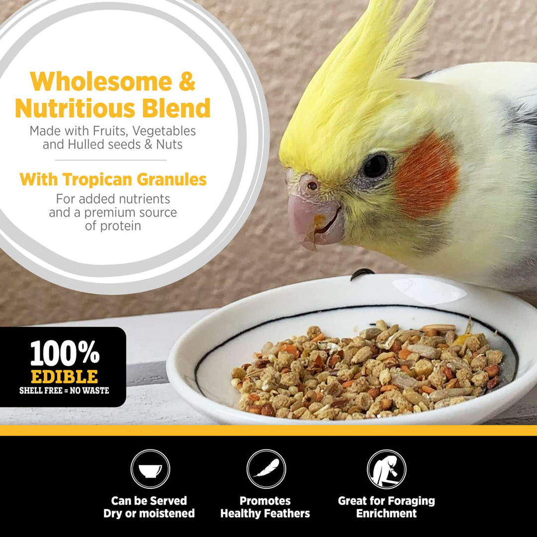 Hagen HARI Tropimix Premium Enrichment Food for Cockatiels & Lovebirds - 2lb