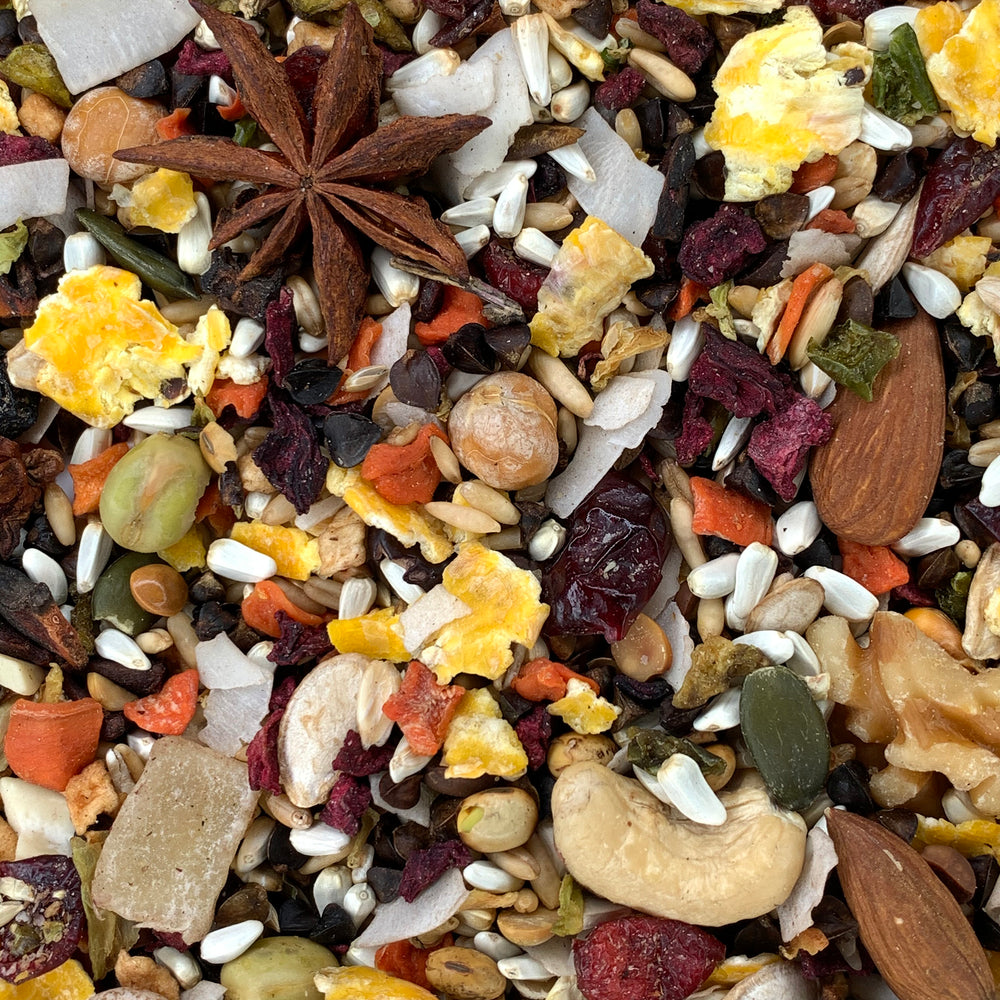 Goldenfeast Central American Blend Conure & Cockatiel - 3lb