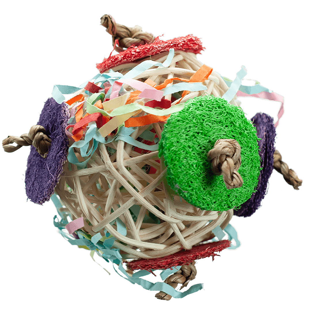 A&E Cage Company Nibbles Circle Chaser Toy - Foraging & Chew Parrot Toy #NB061
