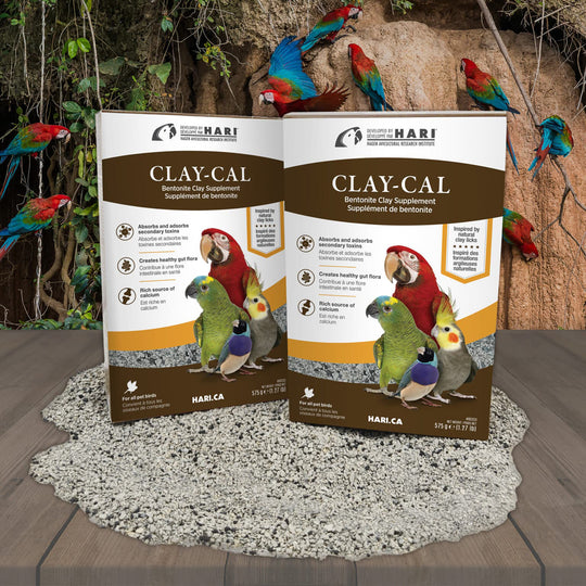 HARI Clay-Cal Calcium-Enriched Bentonite Clay Supplement for Birds - 1.27lb