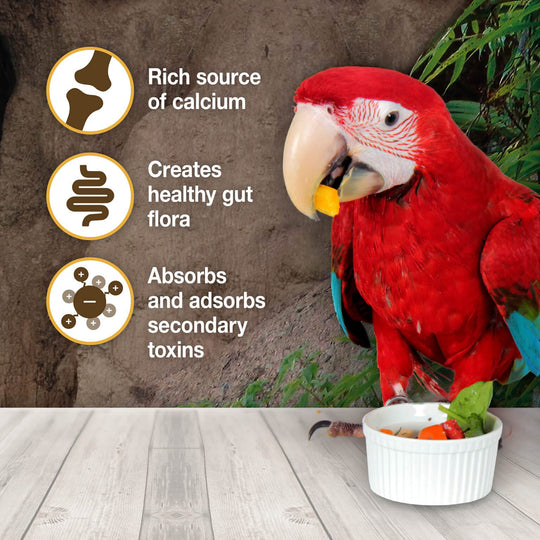 HARI Clay-Cal Calcium-Enriched Bentonite Clay Supplement for Birds - 1.27lb