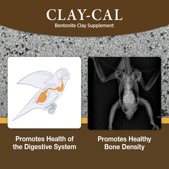 HARI Clay-Cal Calcium-Enriched Bentonite Clay Supplement for Birds - 1.27lb