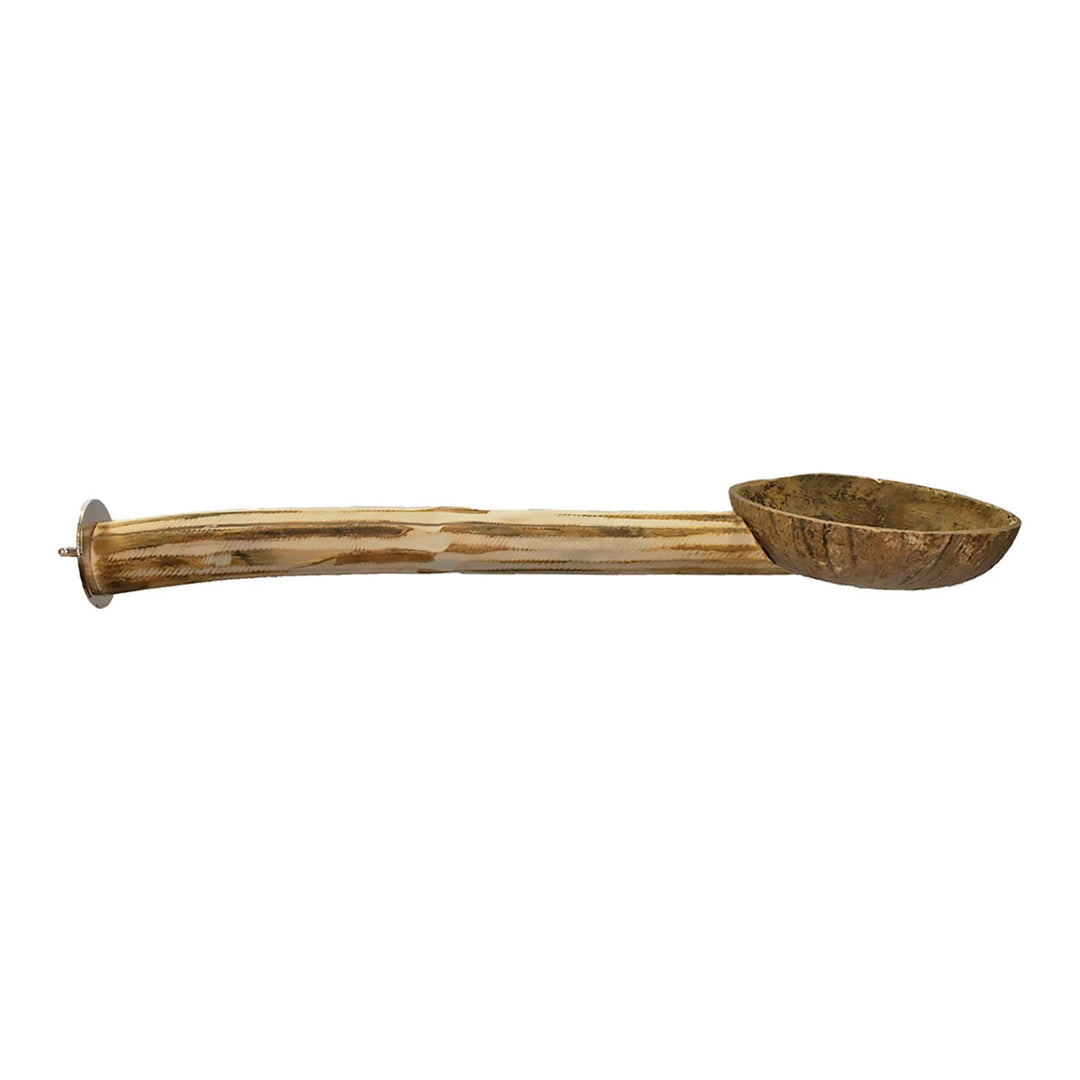 Exotic Nutrition Jungle Canopy Toys Coconut Cup with Perch - Natural Wood Food Dish & Bird Perch Combo ENA371