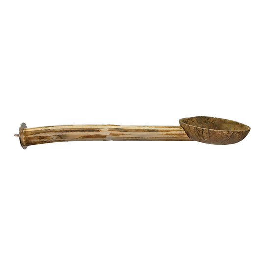 Exotic Nutrition Jungle Canopy Toys Coconut Cup with Perch - Natural Wood Food Dish & Bird Perch Combo ENA371