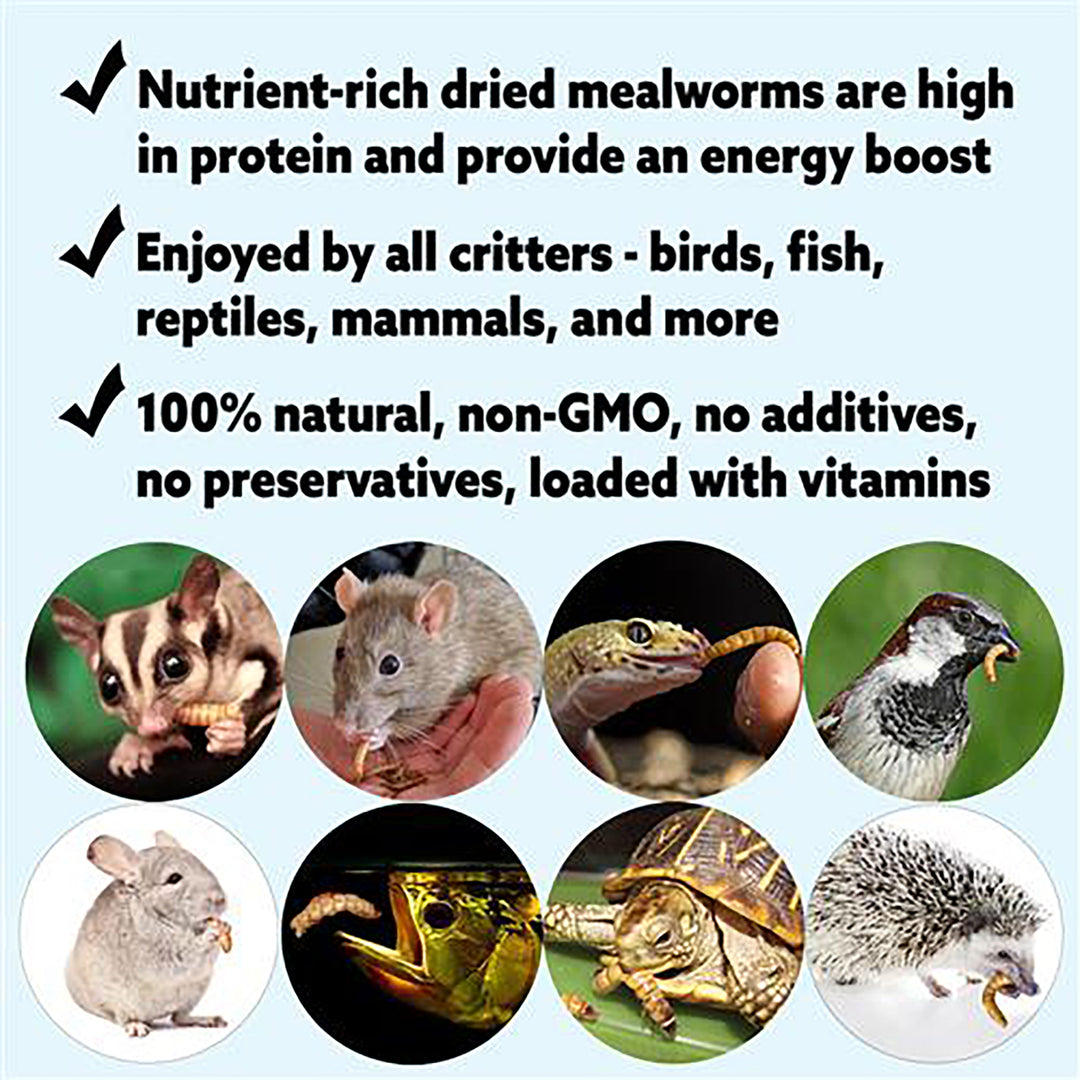 Exotic Nutrition Dried Mealworms Treat - 1.41oz