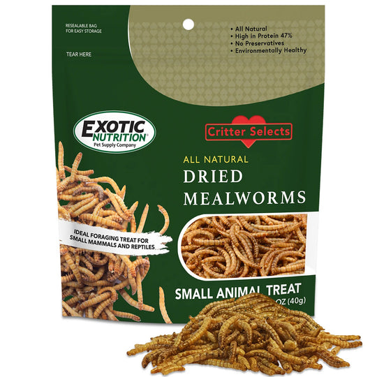 Exotic Nutrition Dried Mealworms Treat - 1.41oz
