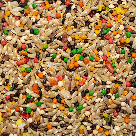 Volkman Featherglow Canary & Finch - 4lb