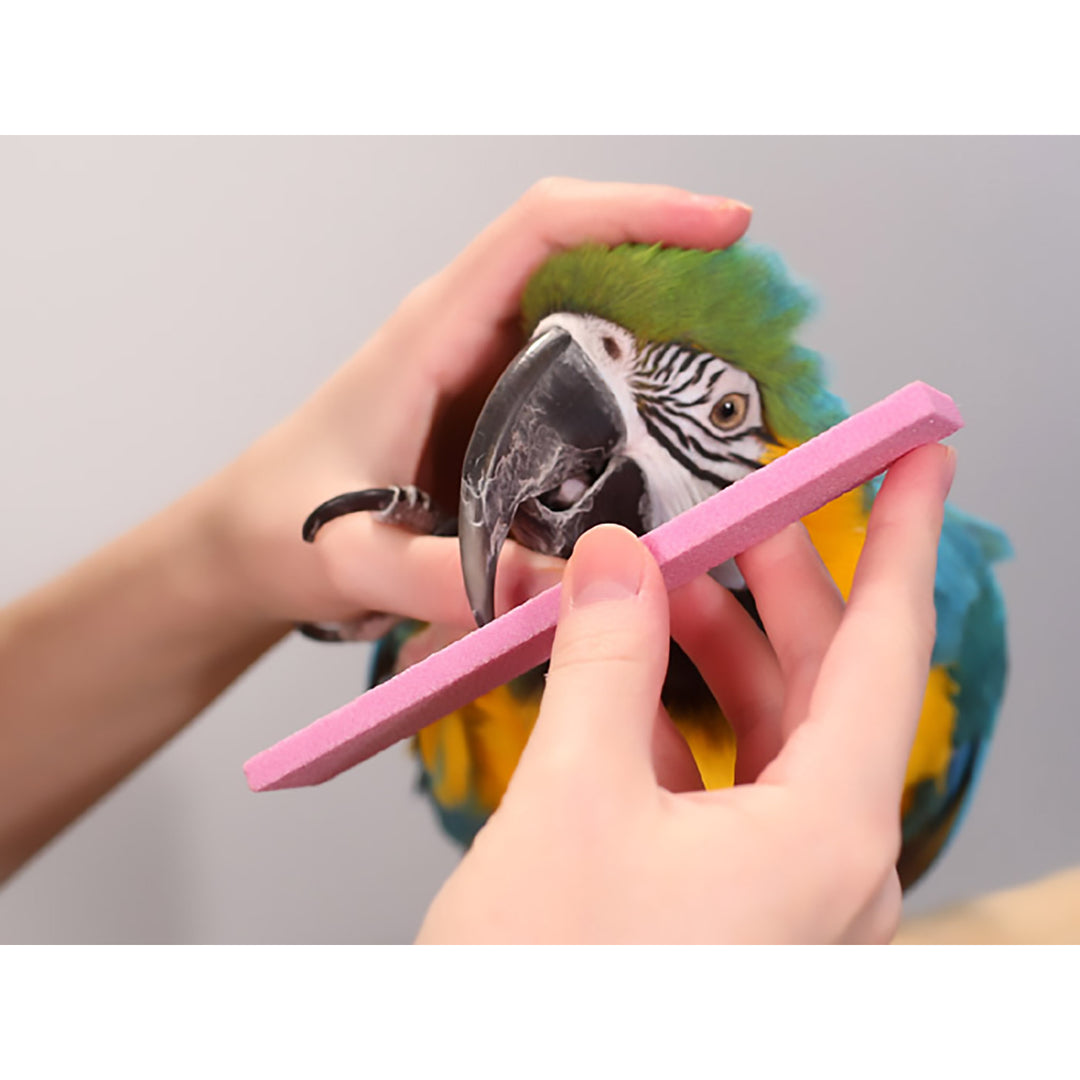 Parrot Wizard Parrot Nail Trimmer Stone - Nail File for Birds