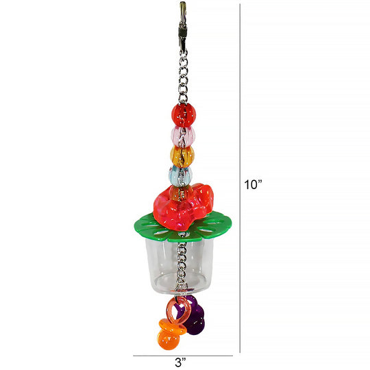 Exotic Nutrition Forage Cup With Beads - Chew & Foraging Puzzle Toy #AYCA975