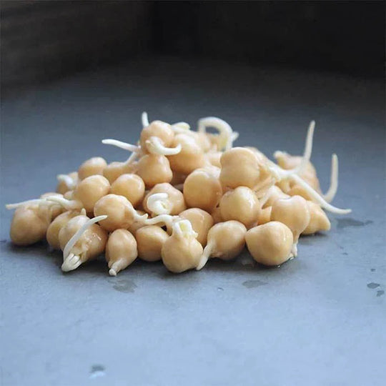 Handy Pantry Sprouting Seeds Garbanzo Bean Organic - 8oz