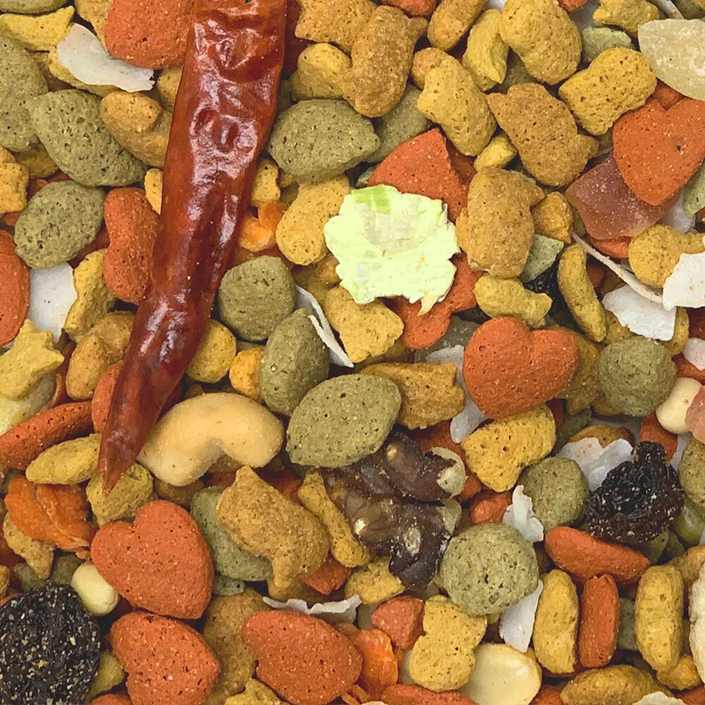 Higgins inTune Harmony Parrot - 3lb