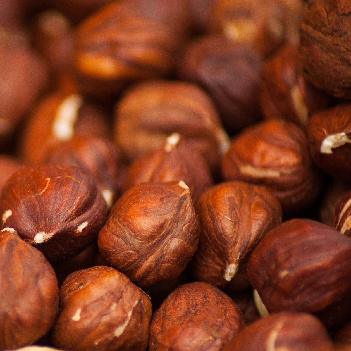 A close-up pile of browned hazelnuts with textured, wrinkled skins showing natural beige nubs.