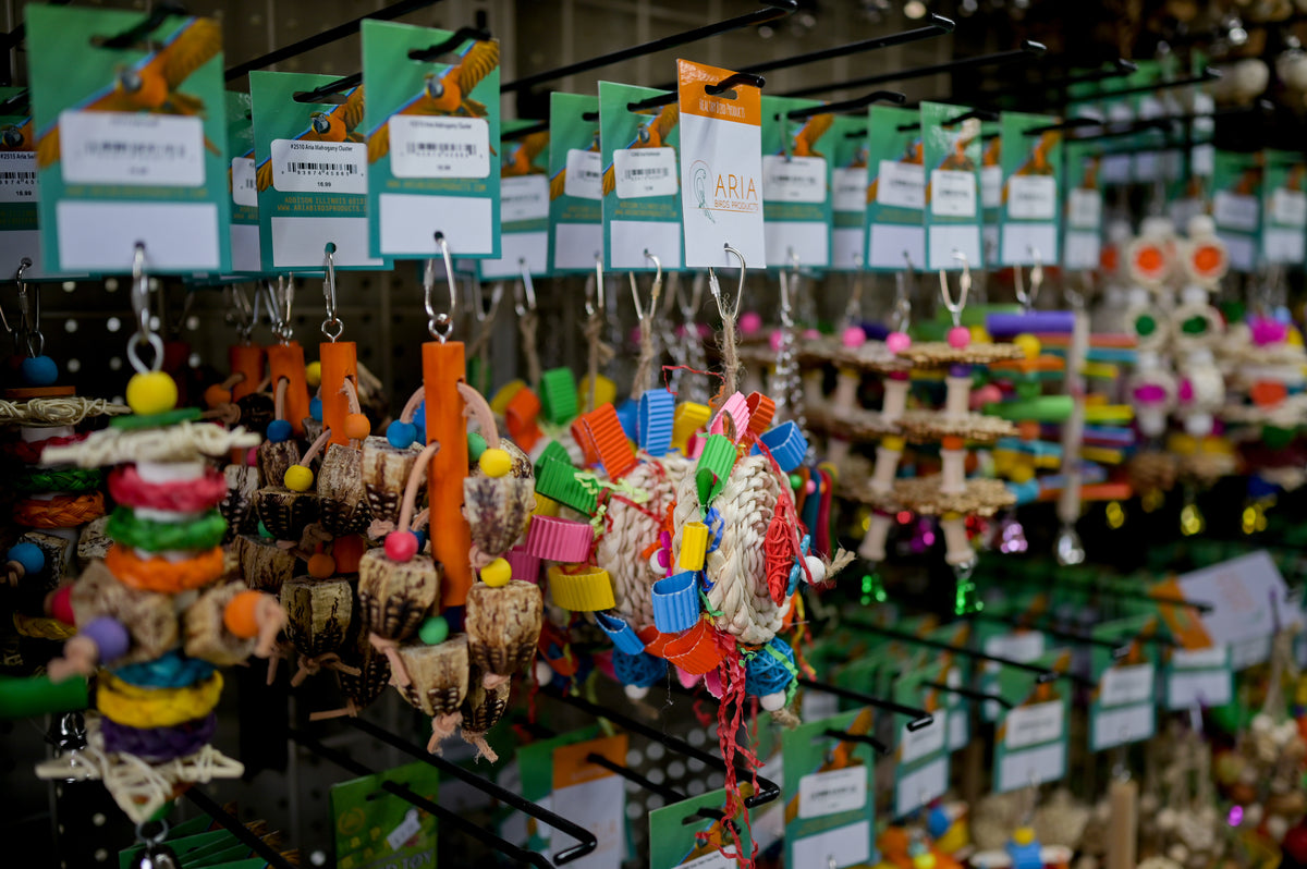 Parrot Stars | So much more than a pet shop