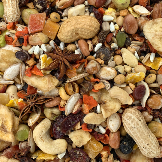 Goldenfeast Indonesian Blend Parrot & Macaw - 3lb
