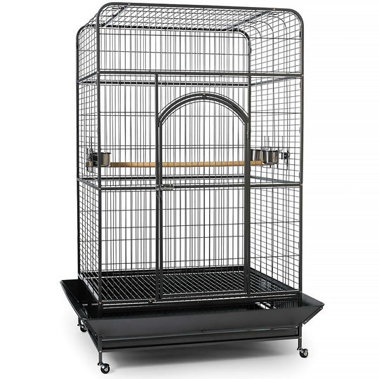 Prevue Pet Products Empire Large Bird Cage - 46” x 36” - Large Parrot Enclosure #3157