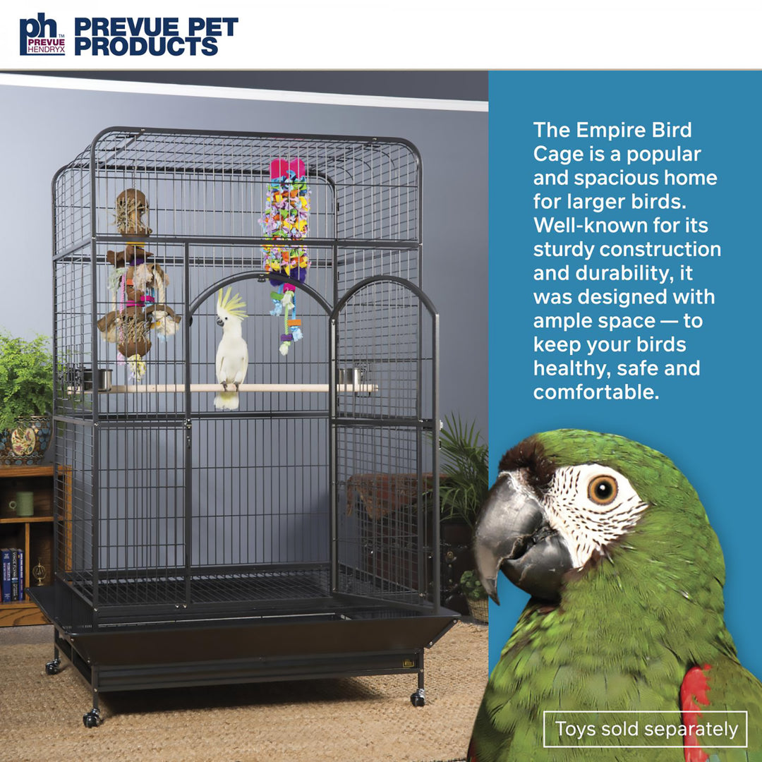 Prevue Pet Products Empire Large Bird Cage - 46” x 36” - Large Parrot Enclosure #3157