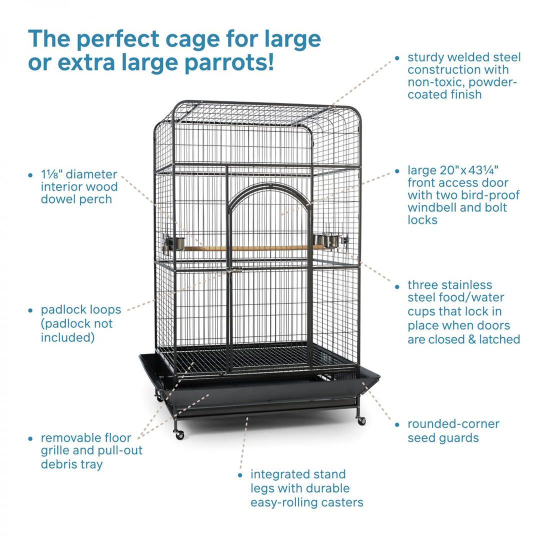 Prevue Pet Products Empire Large Bird Cage - 46” x 36” - Large Parrot Enclosure #3157