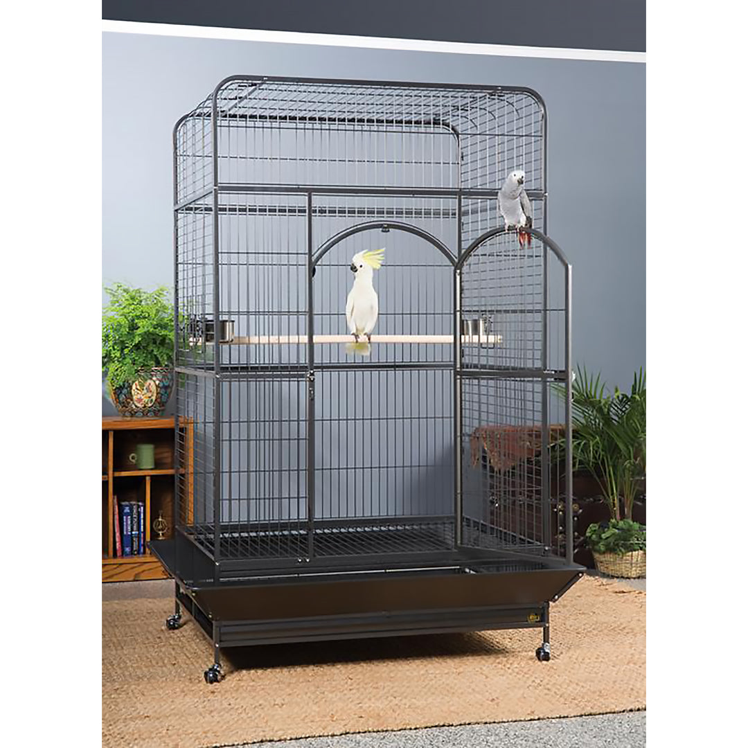 Prevue Pet Products Empire Large Bird Cage - 46” x 36” - Large Parrot Enclosure #3157