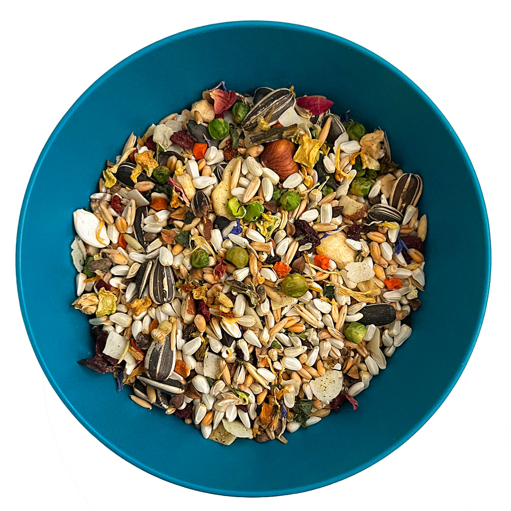 #1006 Aria Nature’s Enrichment High-Variety Seed Blend for Large Parrots - 3lb