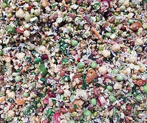 Aria Nature's Enrichment - Ready to Serve - Soak & Sprout - 1lb