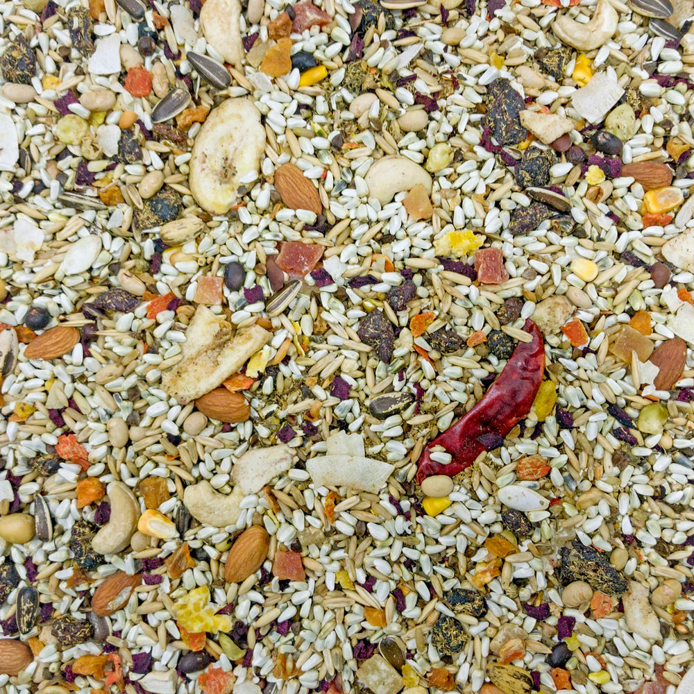 Higgins Mayan Harvest Tikal - Parrot & Eclectus - 3lb