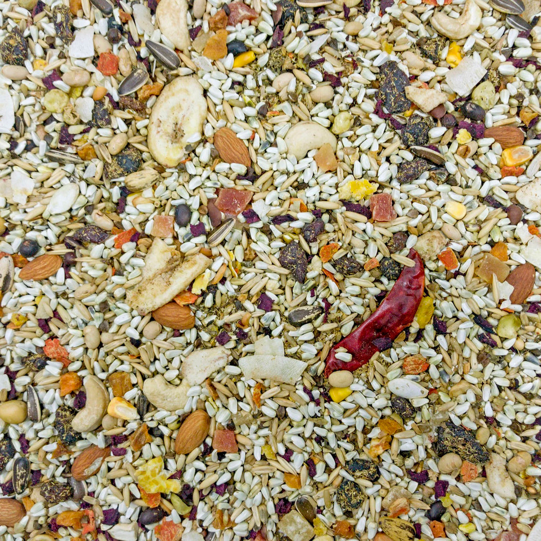 Higgins Mayan Harvest Tikal - Parrot & Eclectus - 3lb