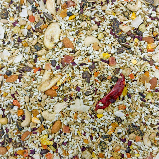 Higgins Mayan Harvest Tikal - Parrot & Eclectus - 3lb