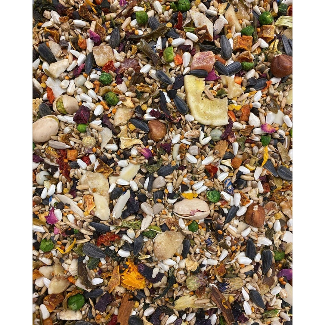 #1004 Aria Nature's Enrichment High-Variety Seed Blend for Medium Parrots - 3lb