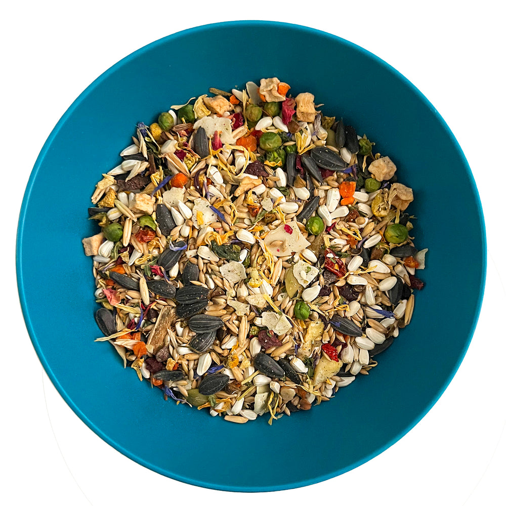 #1004 Aria Nature's Enrichment High-Variety Seed Blend for Medium Parrots - 3lb