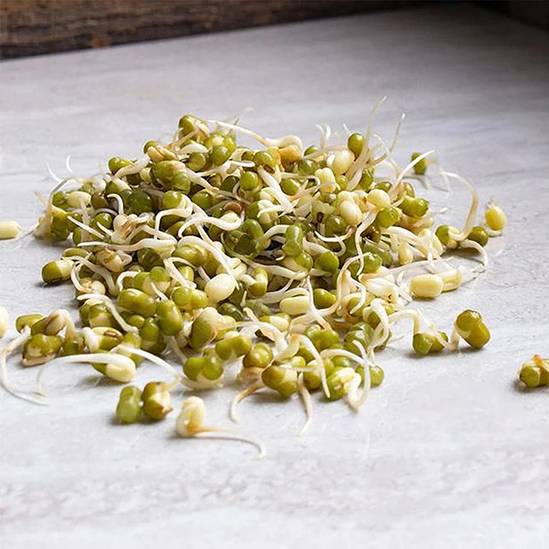 Handy Pantry Sprouting Seeds Mung Bean Organic - 4oz