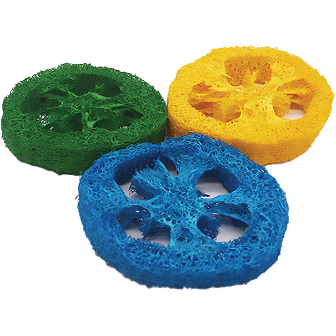 A&E Cage Company Nibbles Loofah Slices - 3 Pack - Chew Bird Toy #NB026